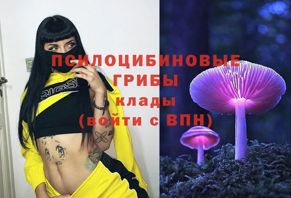 трава Алексин