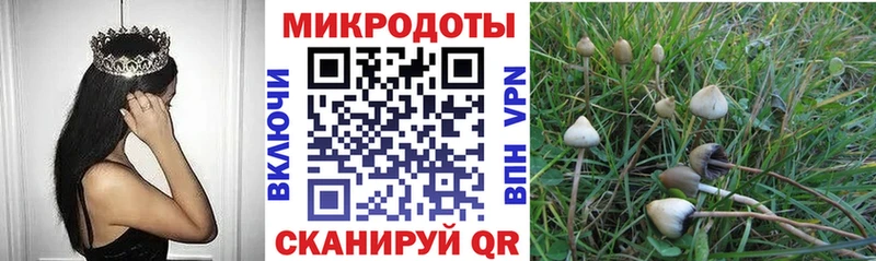 Псилоцибиновые грибы мицелий  ОМГ ОМГ зеркало  Чебоксары 