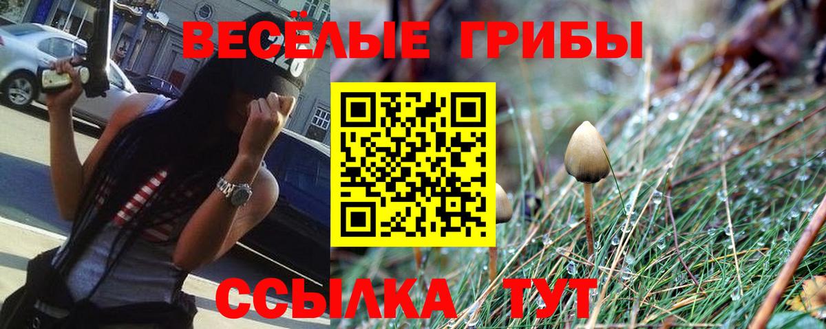 Псилоцибиновые грибы MAGIC MUSHROOMS Чебоксары